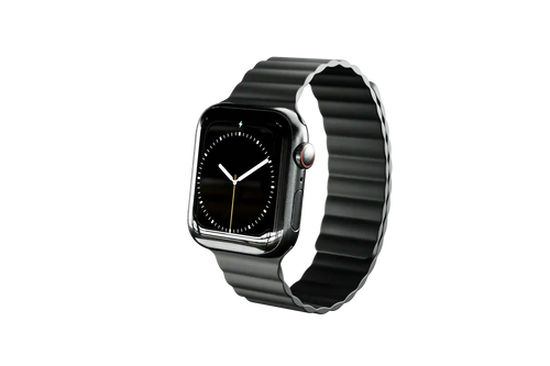 Apple Magnetic Watch Band - Black